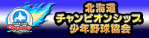 北海道シャンピオンシップ少年野球協会