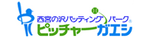 西宮の沢バッティングパーク ピッチャーガエシ