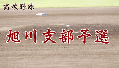 北 2019 大会 野球 北海道 高校